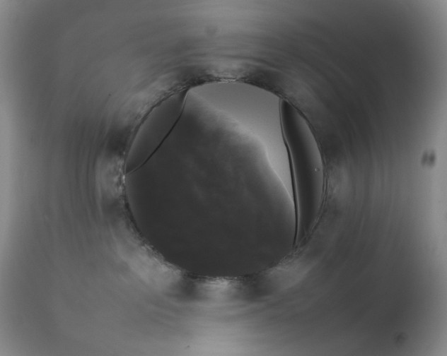 X0000111370237200907241253