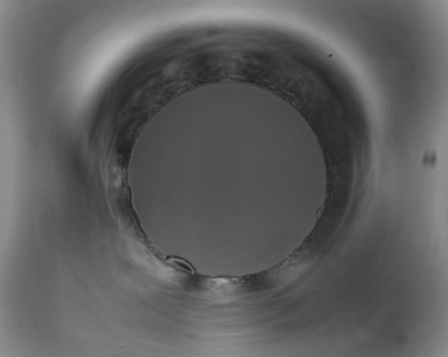 X0000111370239200907241253