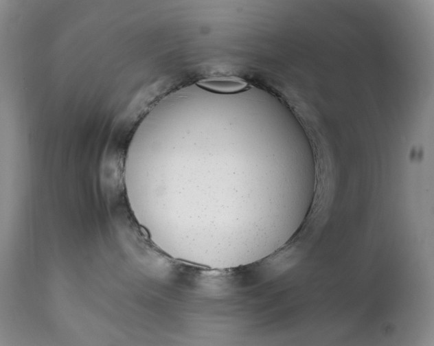 X0000111370240200907241253