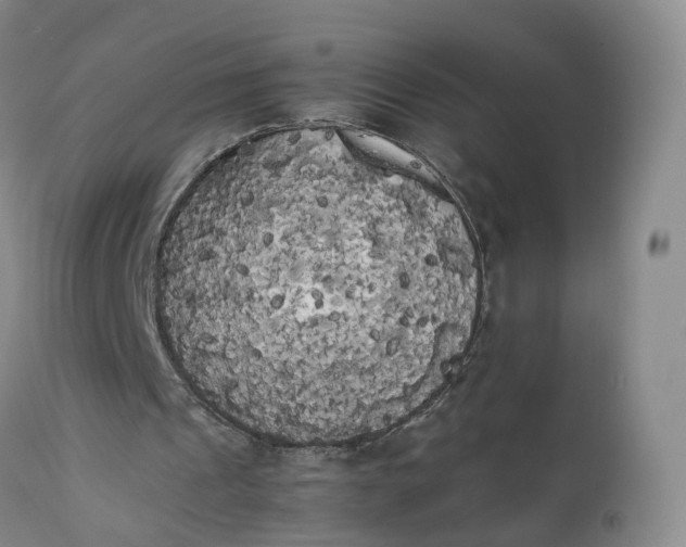 X0000111370241200907241252