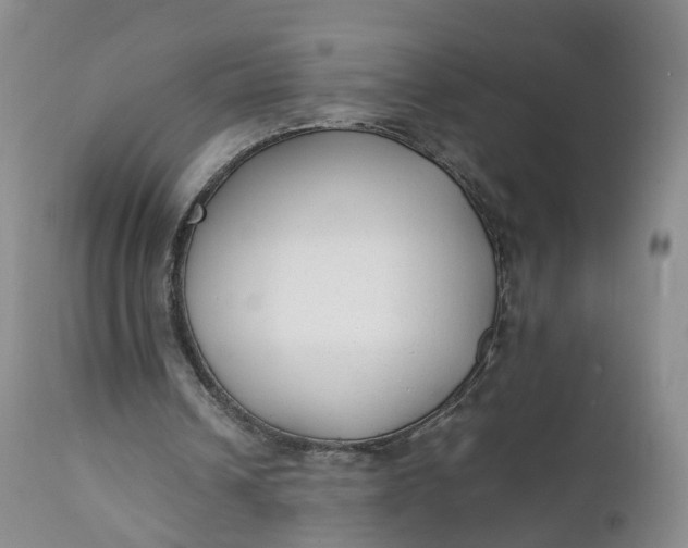 X0000111370242200907241252