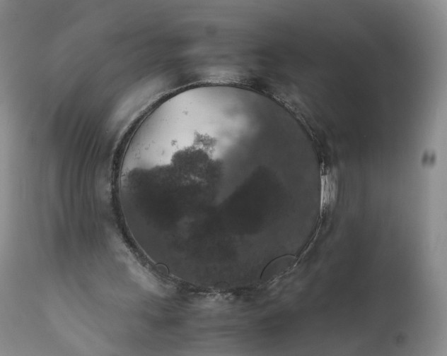 X0000111370243200907241253