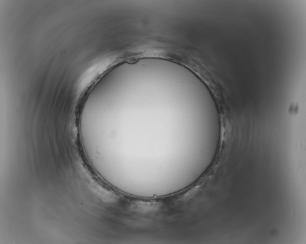 X0000111370245200907241253