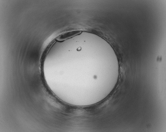 X0000111370246200907241253