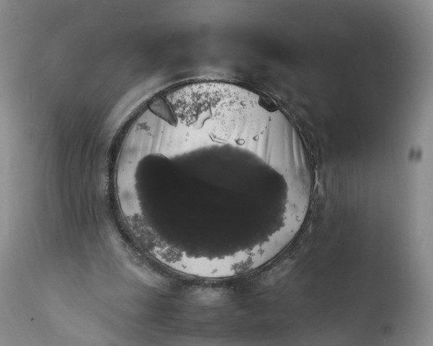 X0000111370247200907241253