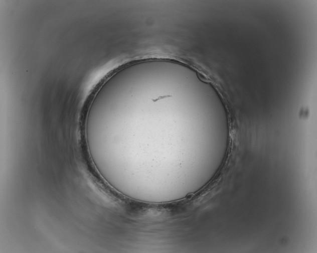 X0000111370248200907241253