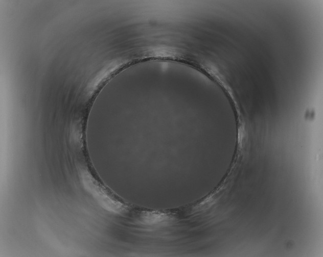 X0000111370249200907241253