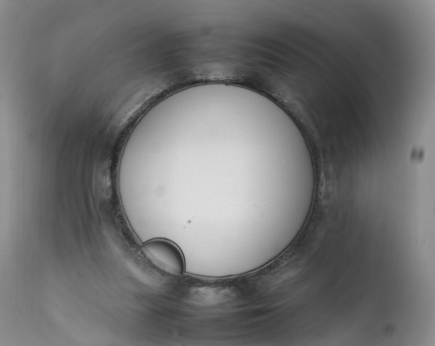 X0000111370251200907241253