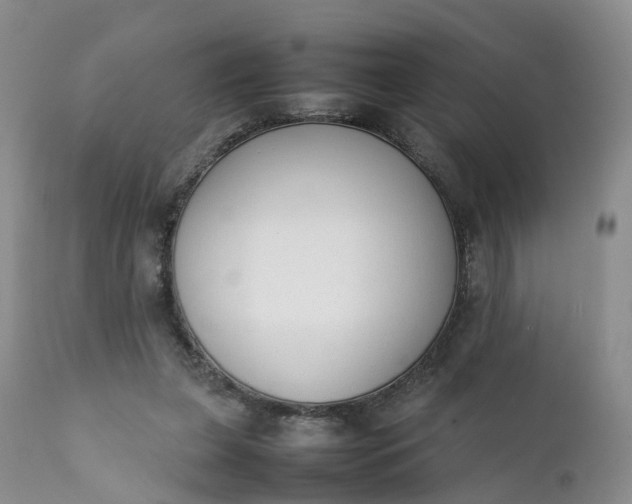 X0000111370255200907241253