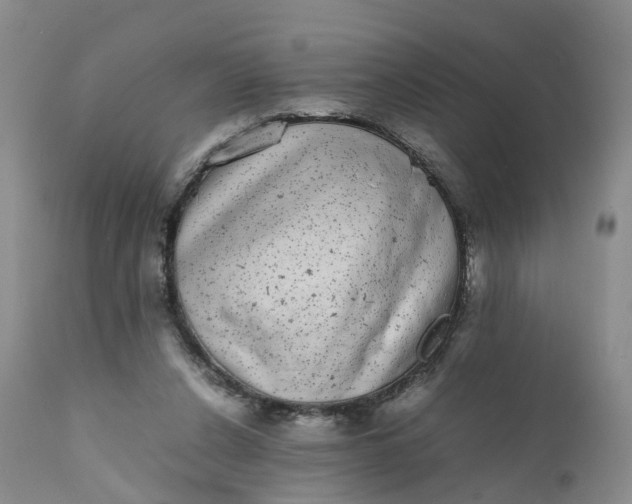 X0000111370256200907241253