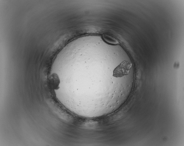 X0000111370257200907241253