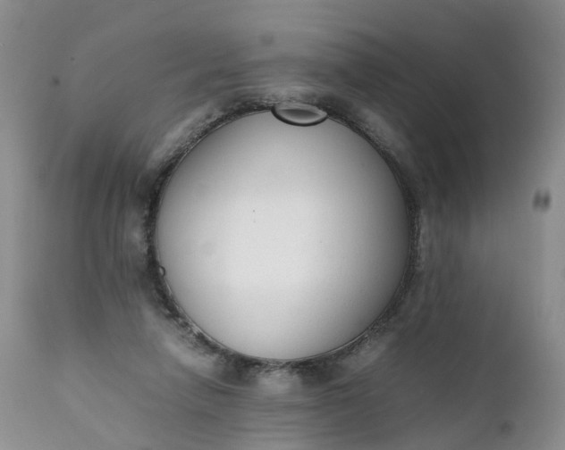 X0000111370258200907241253