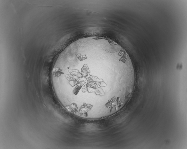 X0000111370259200907241253