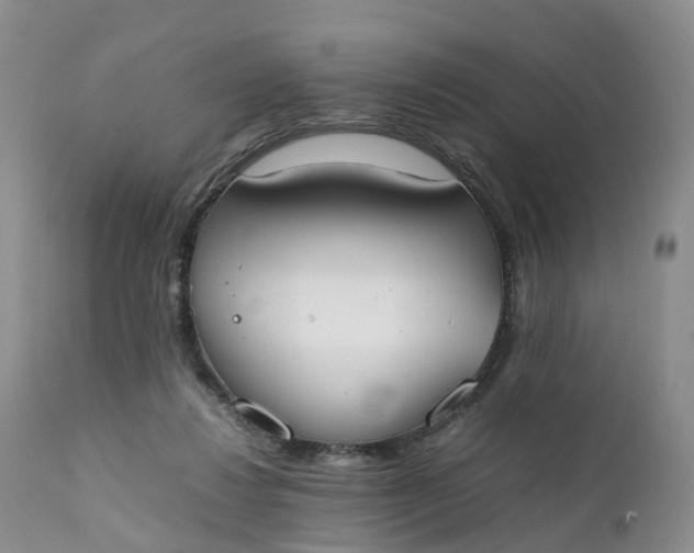 X0000111370260200907241253