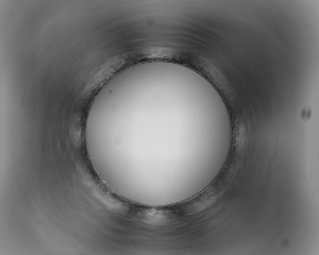 X0000111370261200907241253