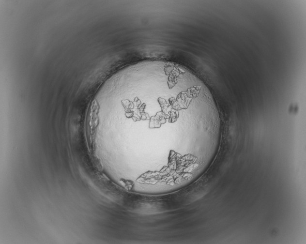 X0000111370263200907241253