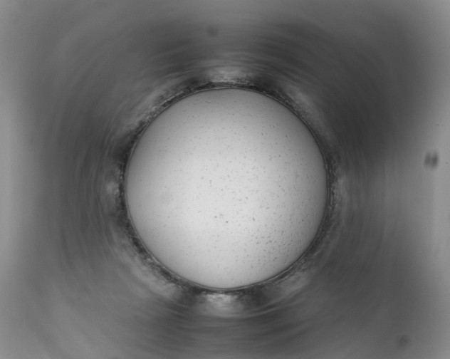 X0000111370265200907241253