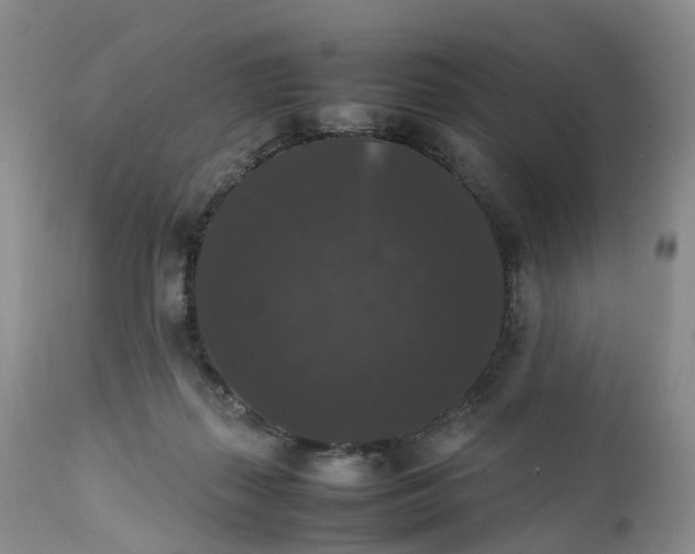 X0000111370267200907241253