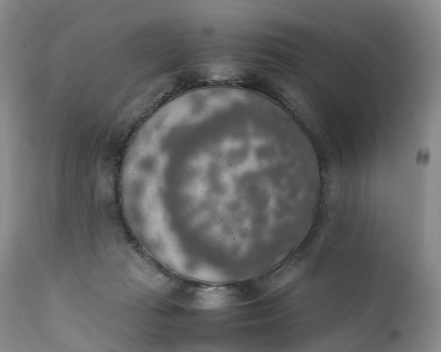 X0000111370269200907241253