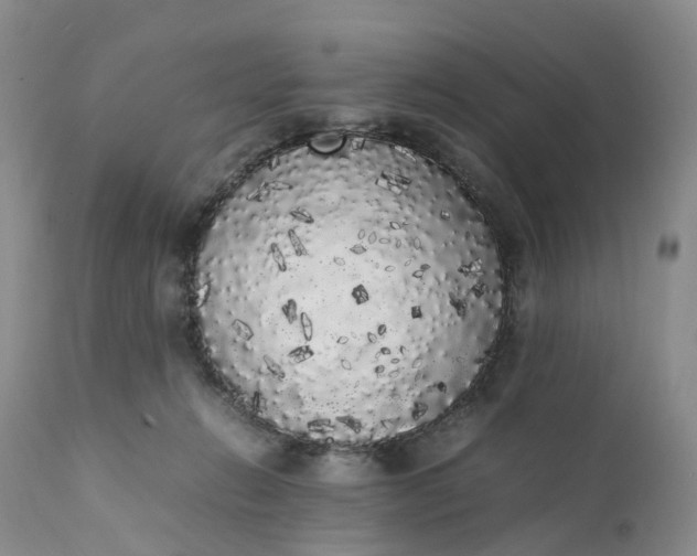 X0000111370270200907241253