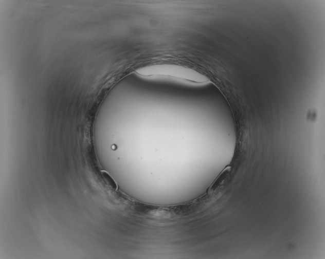 X0000111370272200907241253