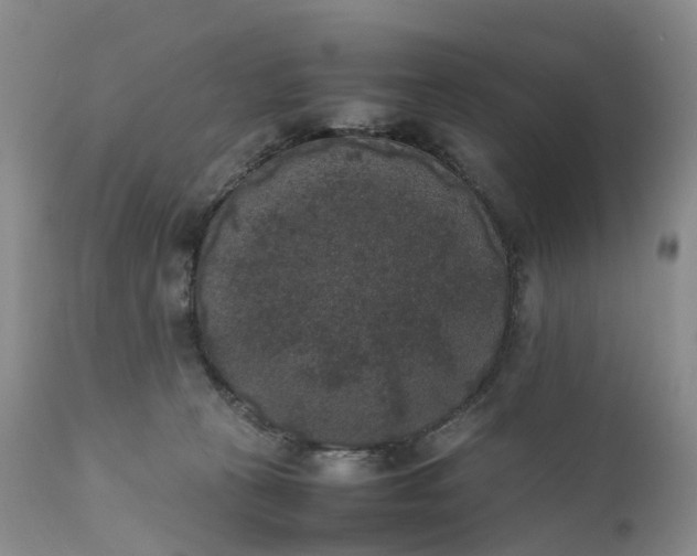 X0000111370273200907241253