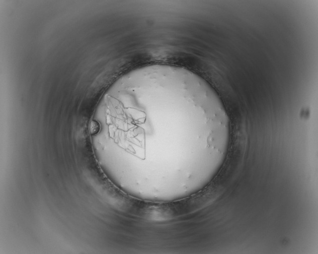 X0000111370275200907241253