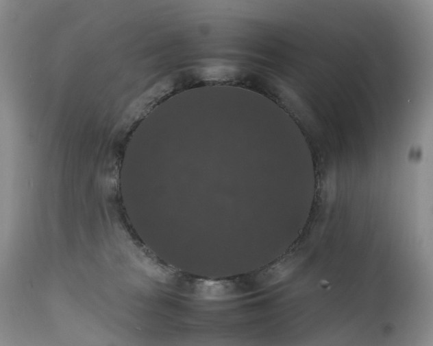 X0000111370277200907241253