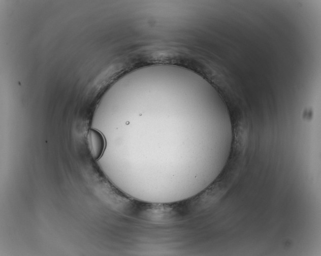 X0000111370278200907241253