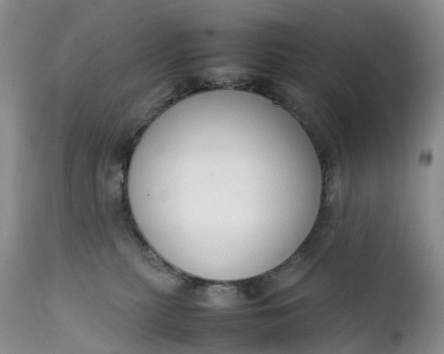 X0000111370279200907241253