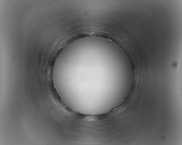 X0000111370280200907241253