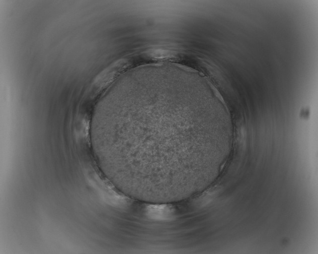 X0000111370281200907241253