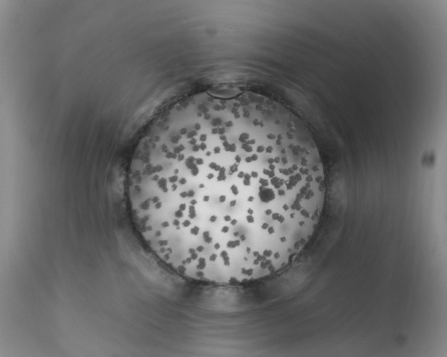 X0000111370282200907241253