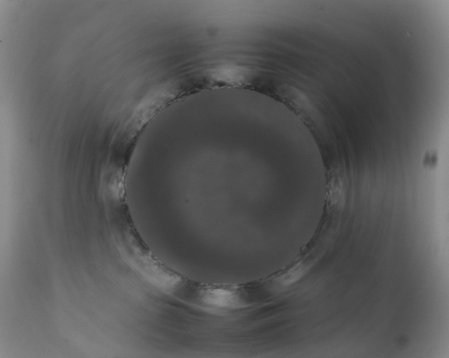 X0000111370285200907241253