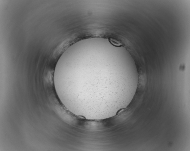 X0000111370286200907241253