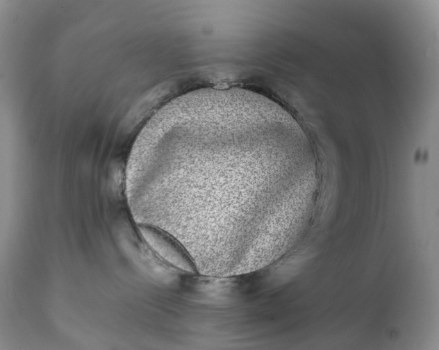 X0000111370288200907241253