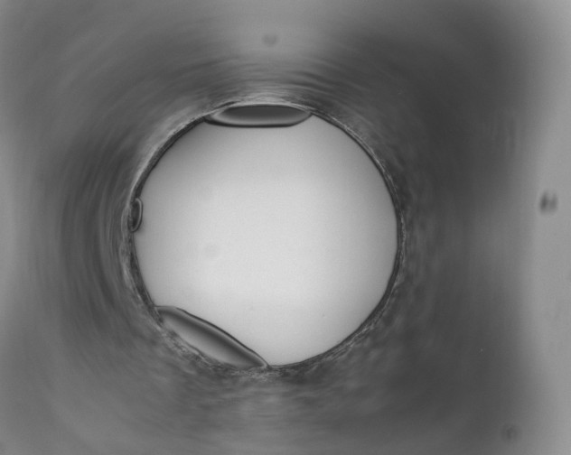 X0000111370289200907241252