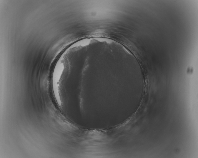 X0000111370290200907241252