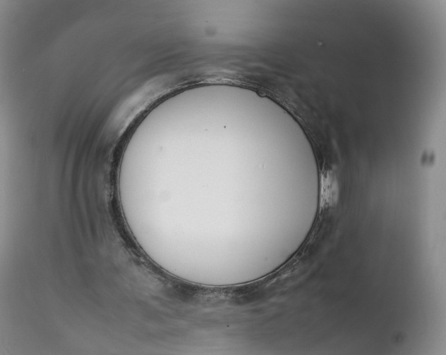 X0000111370291200907241252