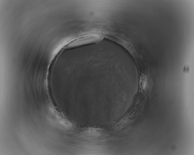 X0000111370292200907241252