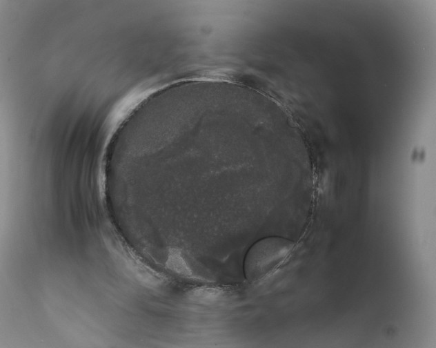 X0000111370294200907241252