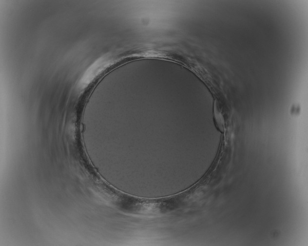 X0000111370295200907241252