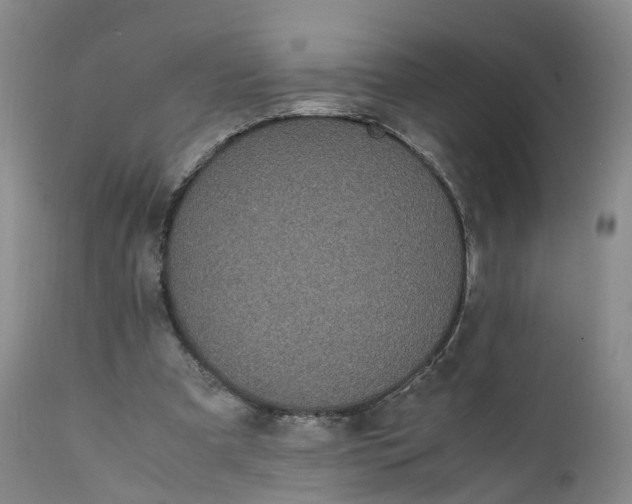 X0000111370297200907241252