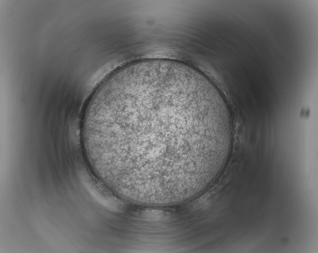 X0000111370298200907241252