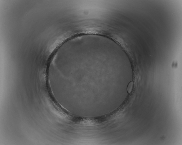 X0000111370299200907241252