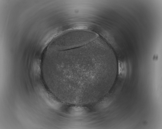 X0000111370300200907241252