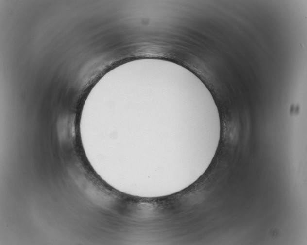 X0000111370302200907241252