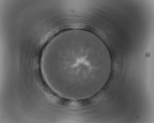 X0000111370303200907241252