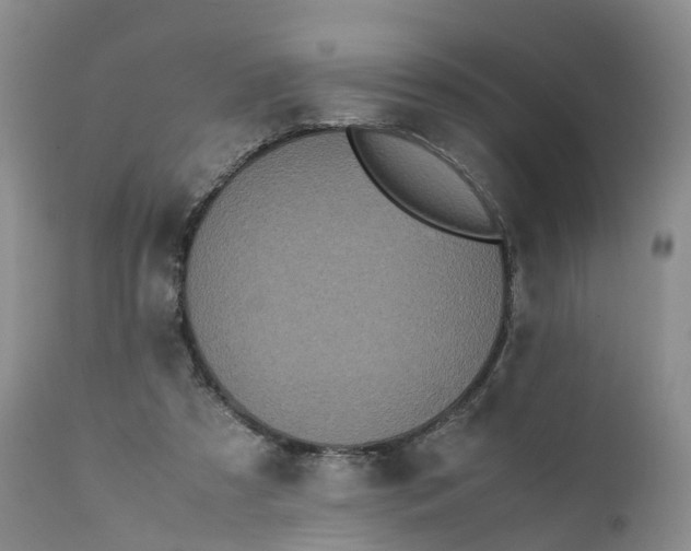 X0000111370305200907241252