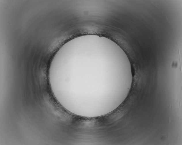 X0000111370306200907241252